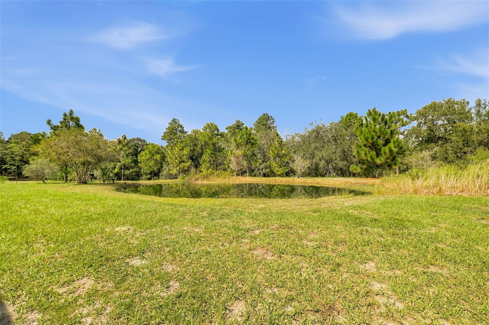 8743 OSTROM WAY, Weeki Wachee, FL 34613