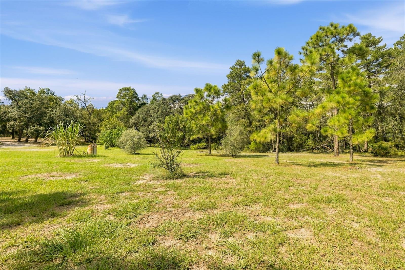 8743 OSTROM WAY, Weeki Wachee, FL 34613