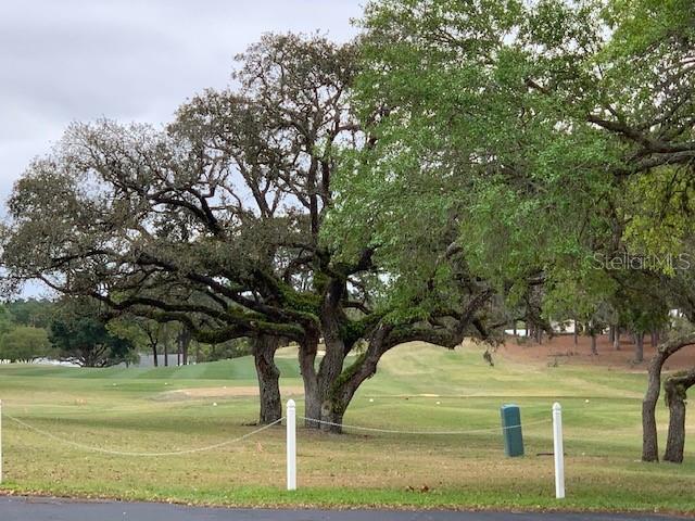 Beautiful Golf Course