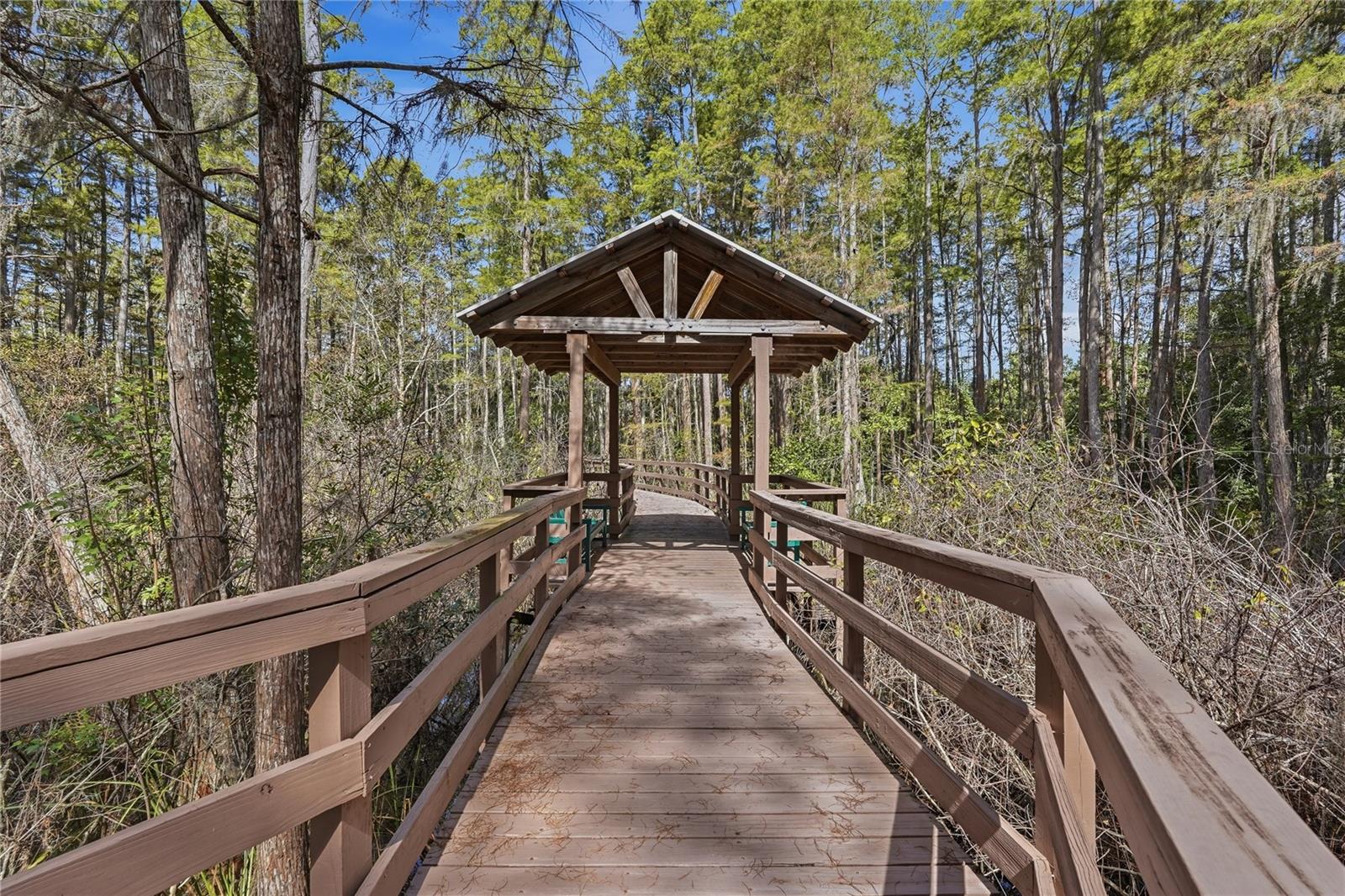 Board Walk - Trail