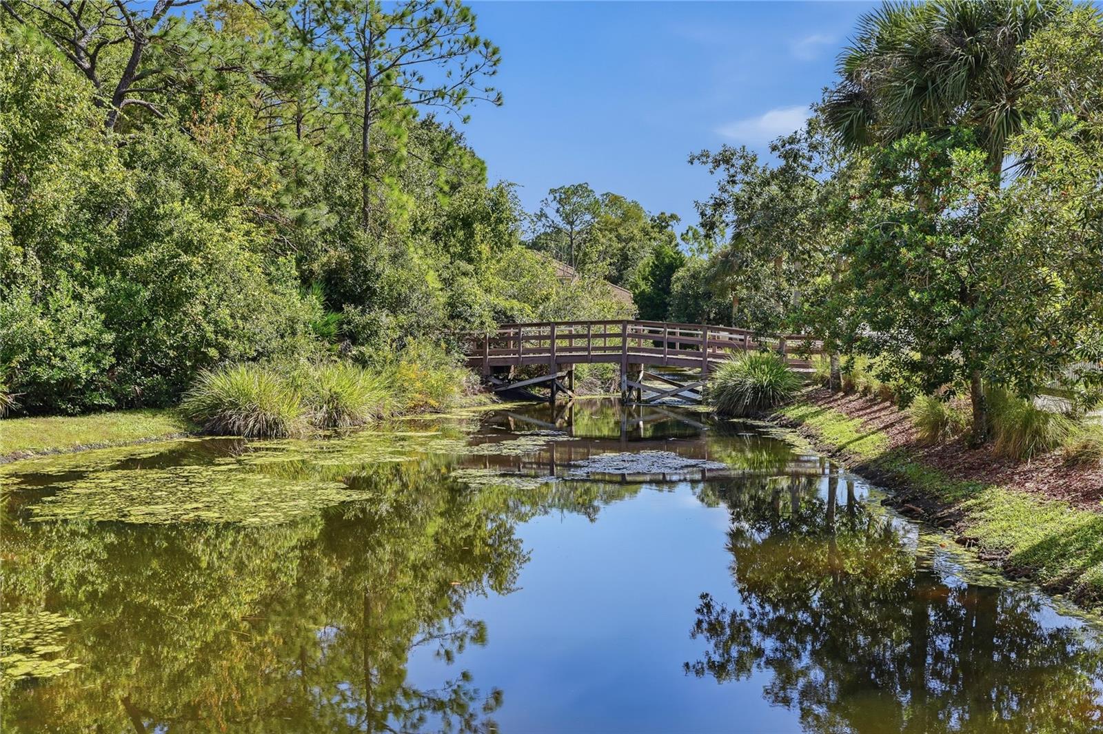 Board Walk - Trail