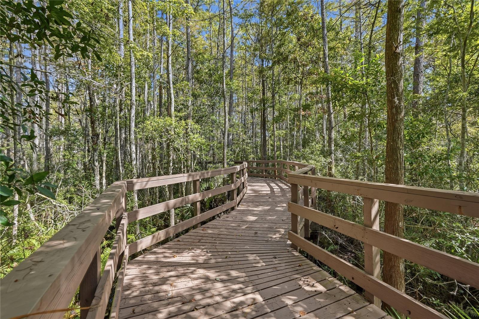 Board Walk - Trail