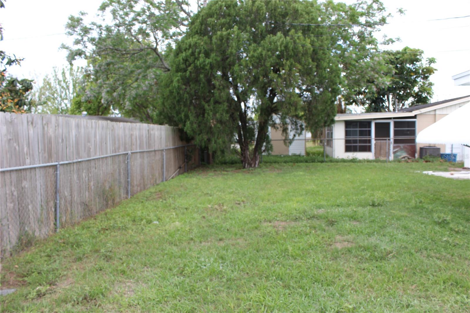 Backyard