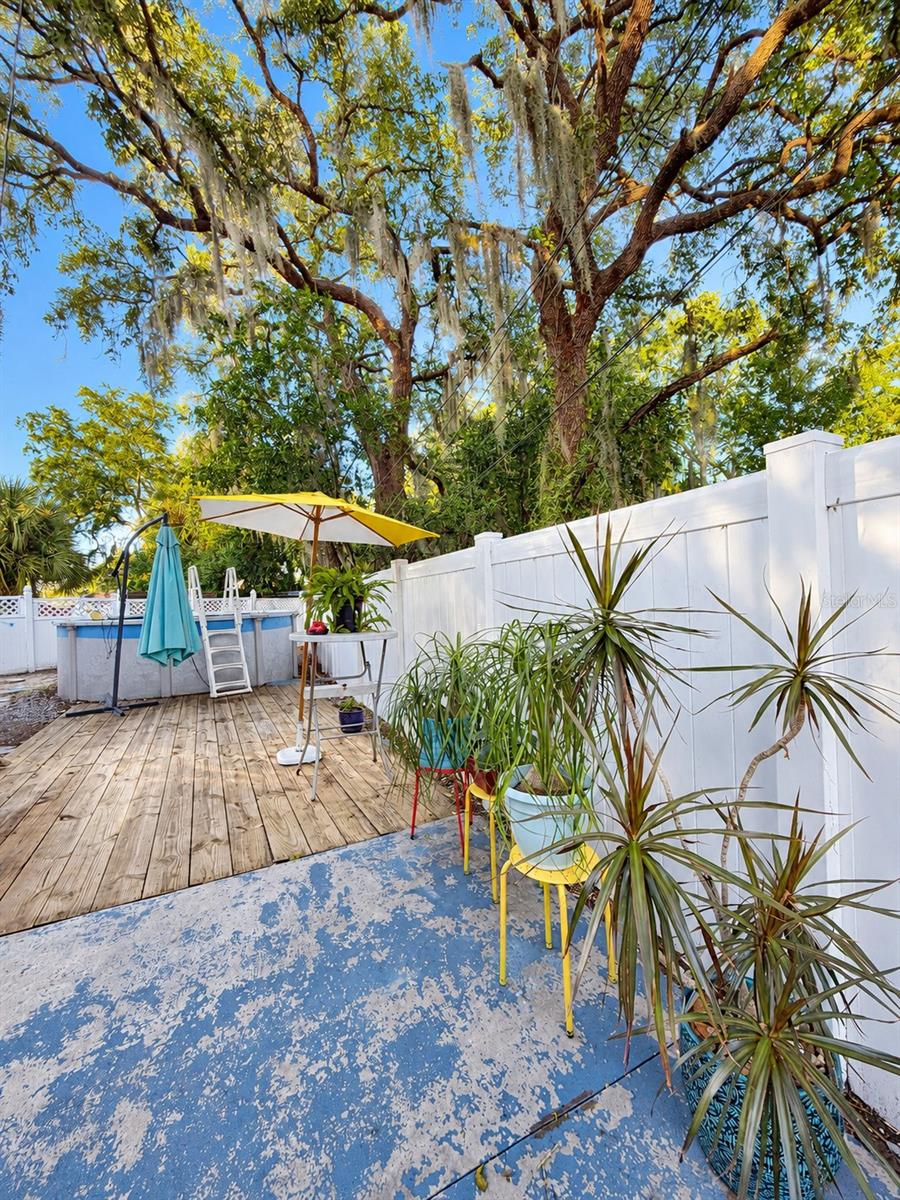1301 LIVE OAK PARKWAY, Tarpon Springs, FL 34689