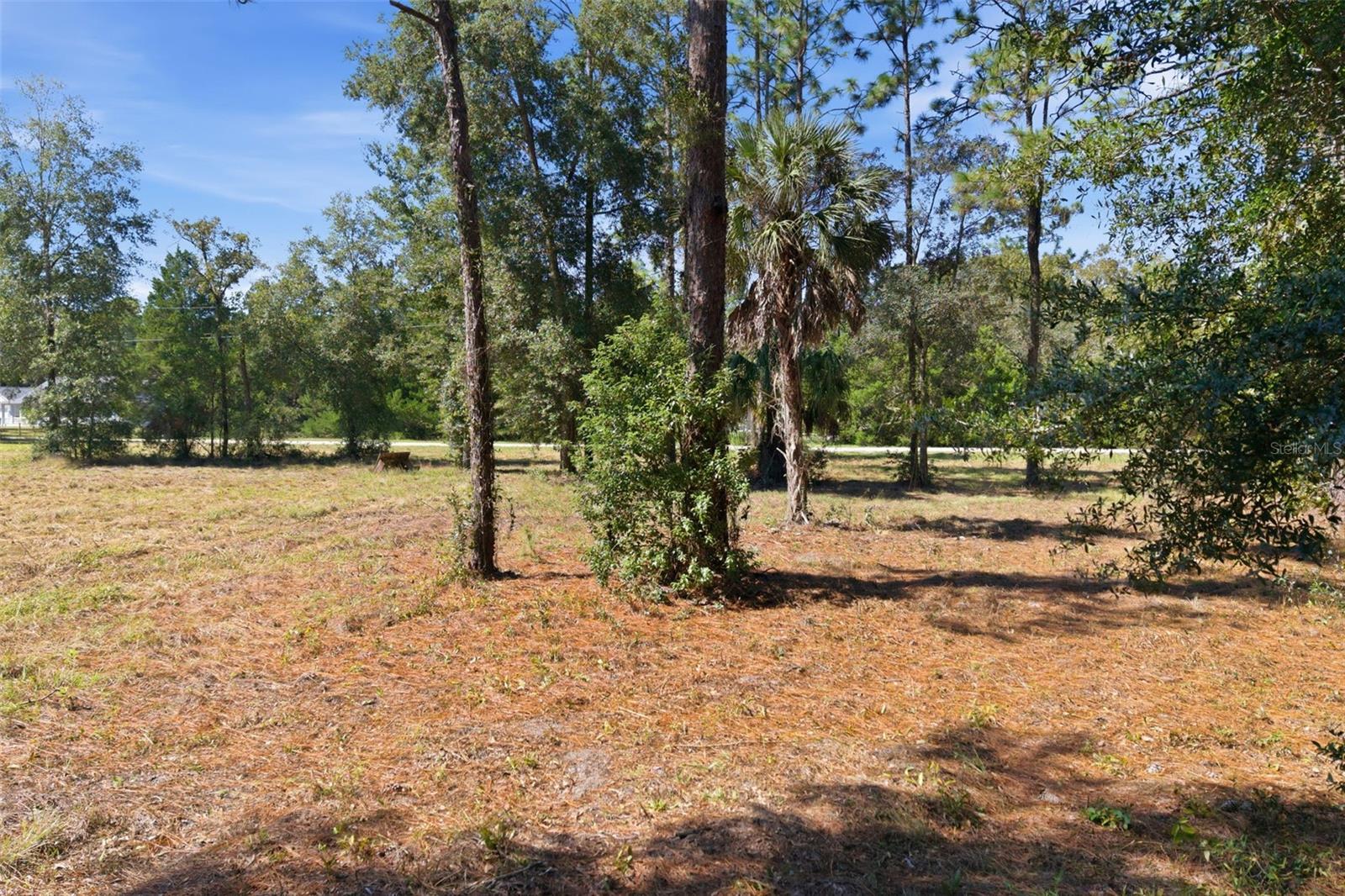 14356 HIGHGROVE ROAD, Spring Hill, FL 34609