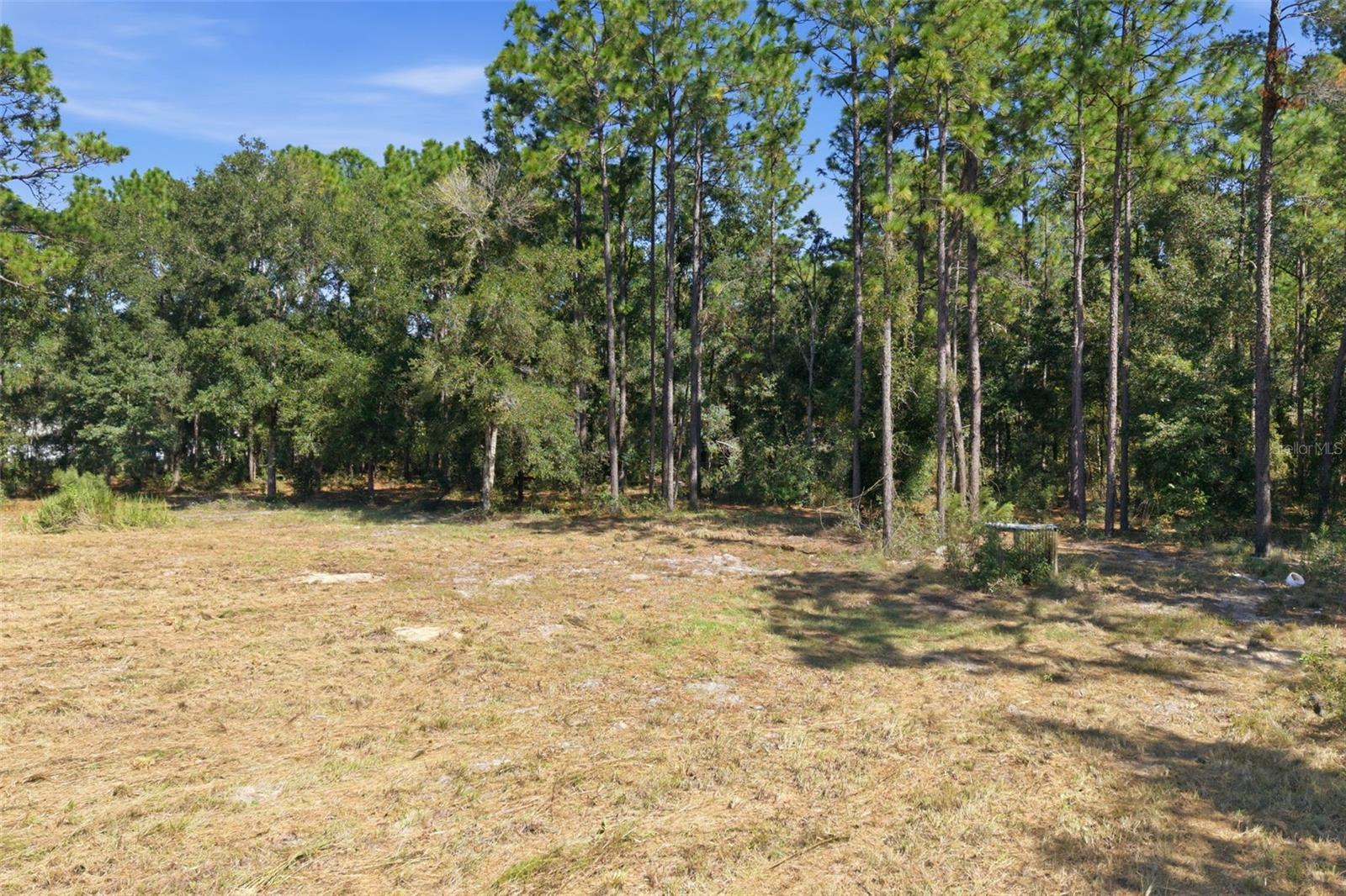14356 HIGHGROVE ROAD, Spring Hill, FL 34609