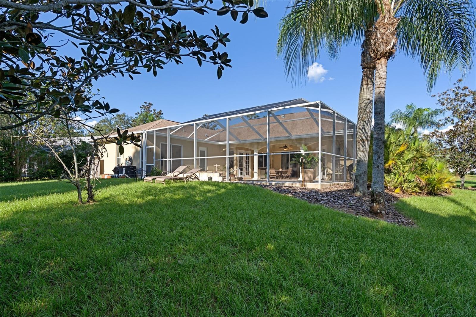 Backyard Space