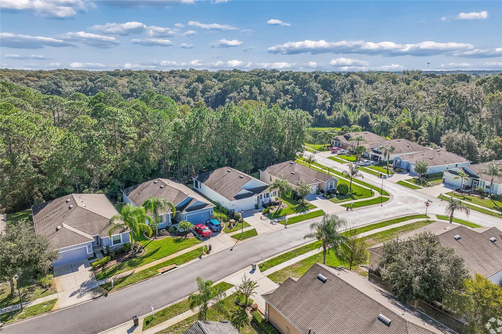 11030 PARADISE POINT WAY, New Port Richey, FL 34654