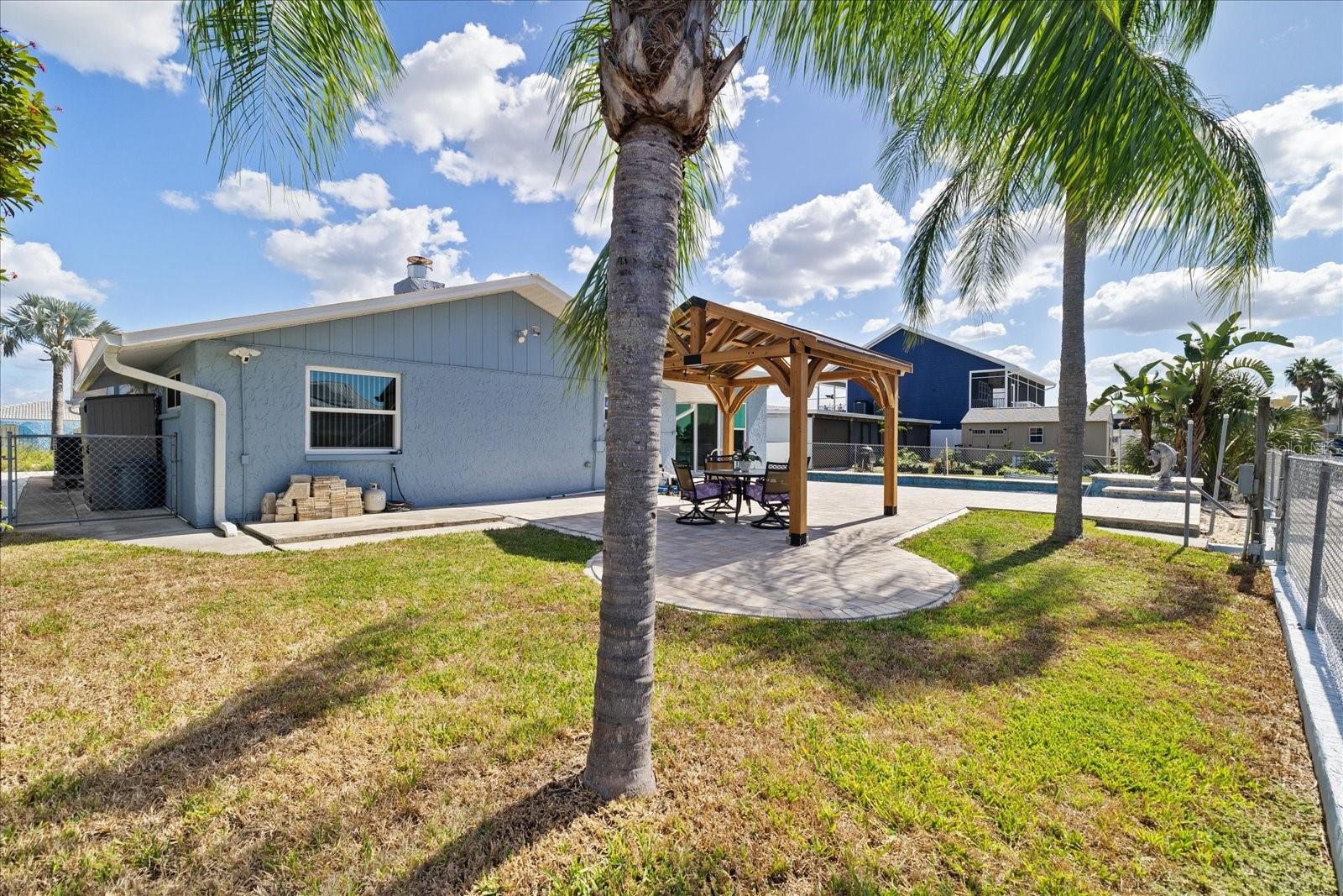Grassy backyard area and palms
