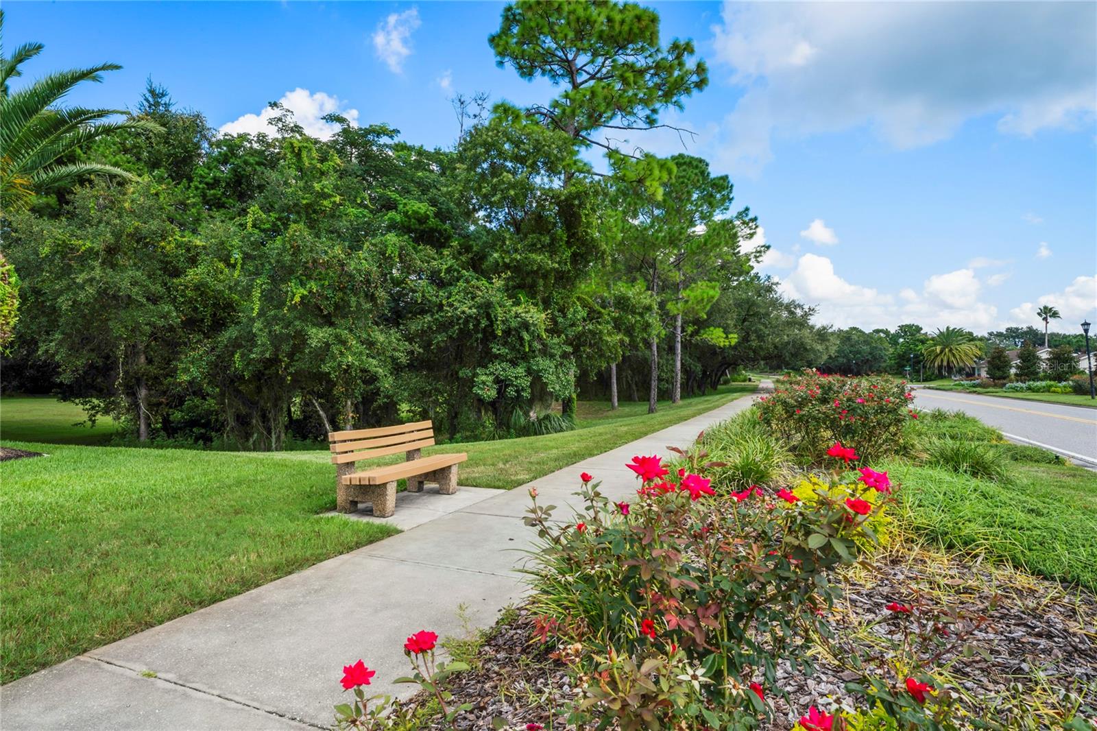 11602 MCLEOD STREET, Spring Hill, FL 34609