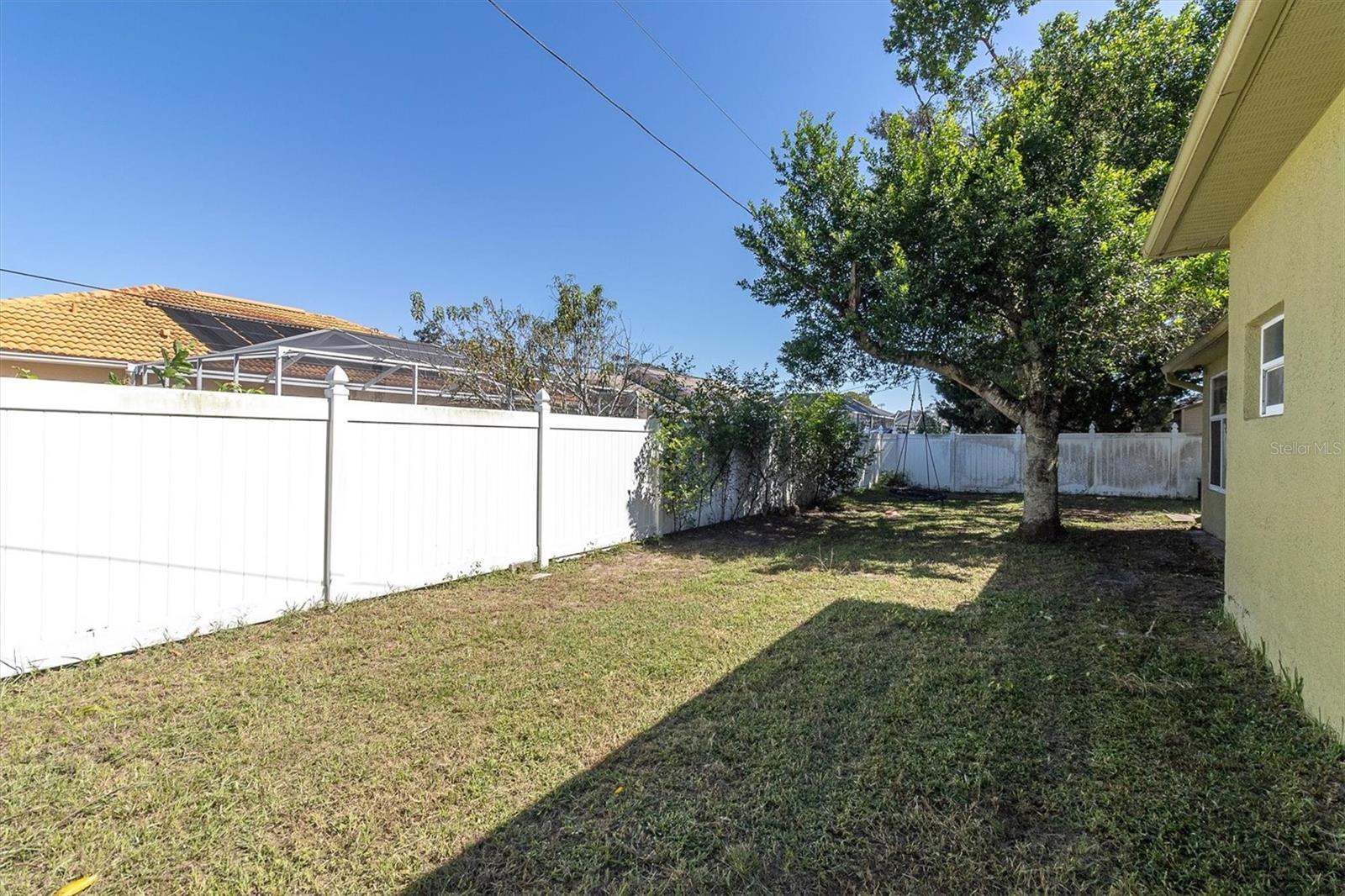 Backyard