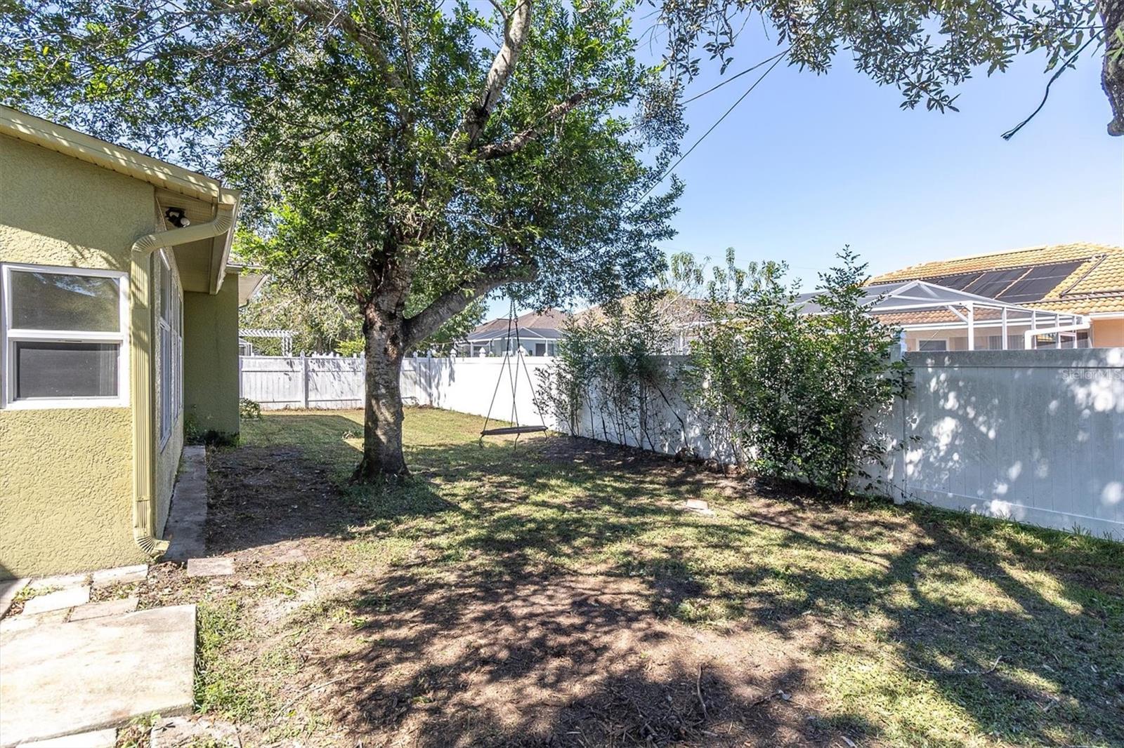 Backyard