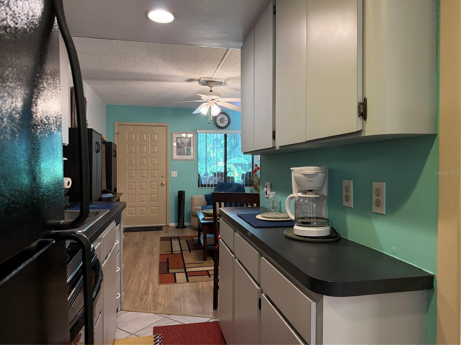 20893 HAULOVER COVE, #5, Lutz, FL 33558