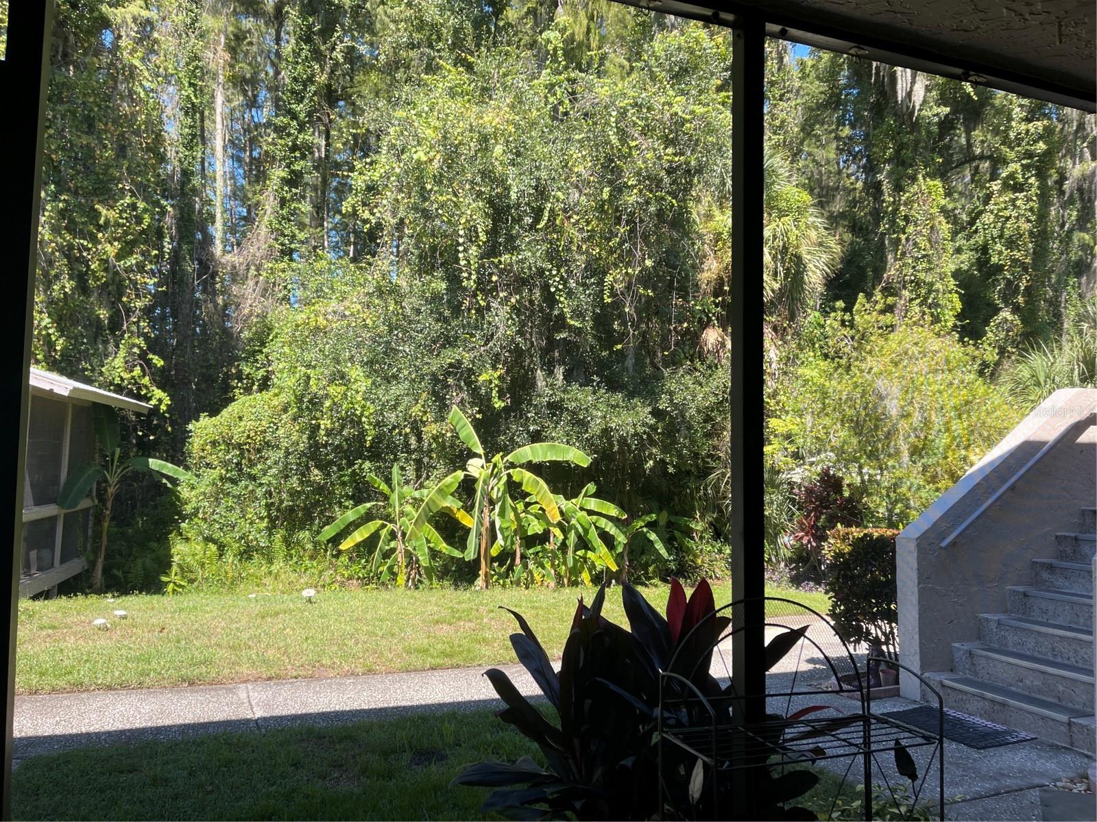 20893 HAULOVER COVE, #5, Lutz, FL 33558