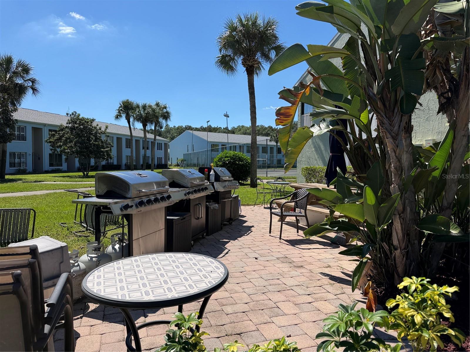 20893 HAULOVER COVE, #5, Lutz, FL 33558