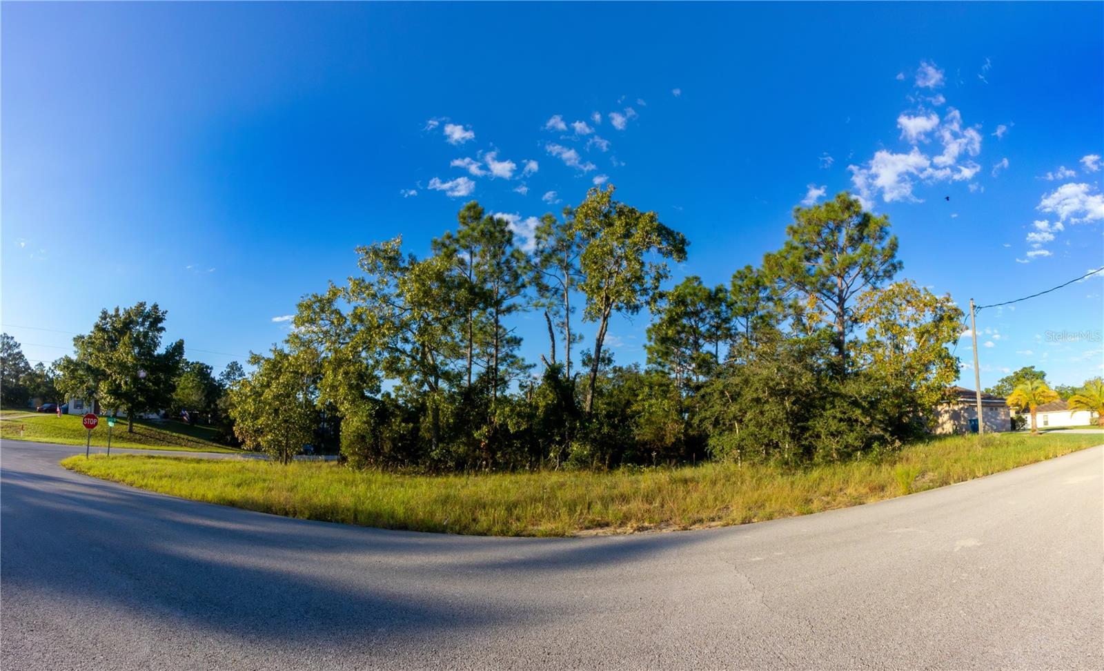 ONEIDA STREET, Spring Hill, FL 34609