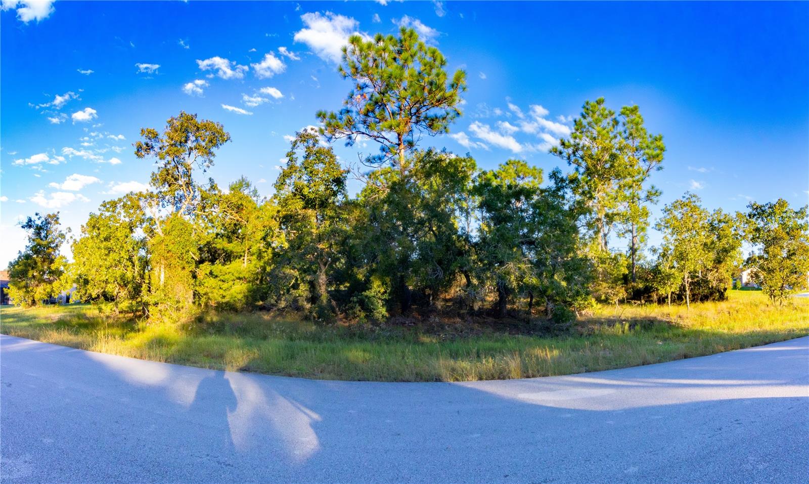 ONEIDA STREET, Spring Hill, FL 34609