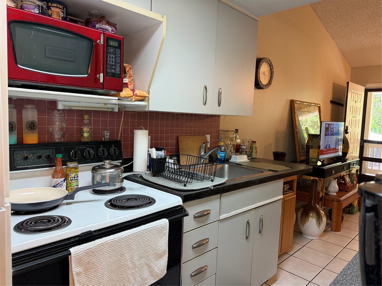 20893 HAULOVER COVE, #6, Lutz, FL 33558