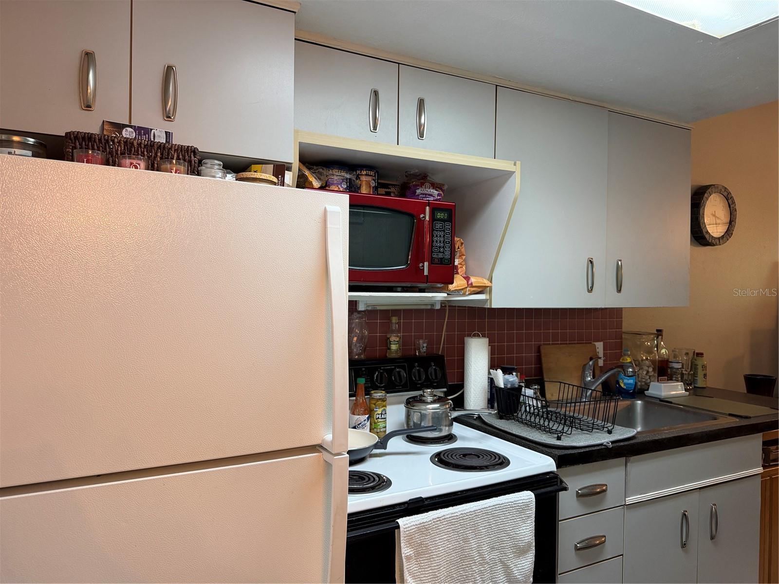 20893 HAULOVER COVE, #6, Lutz, FL 33558