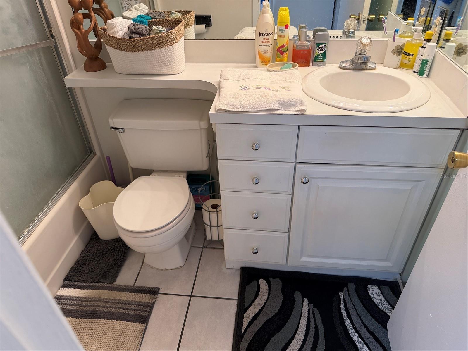 20893 HAULOVER COVE, #6, Lutz, FL 33558