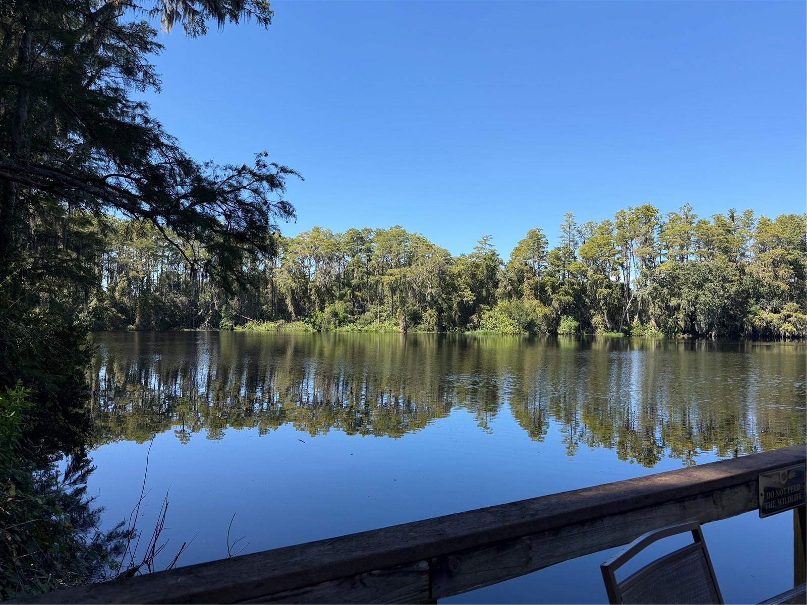 20893 HAULOVER COVE, #6, Lutz, FL 33558