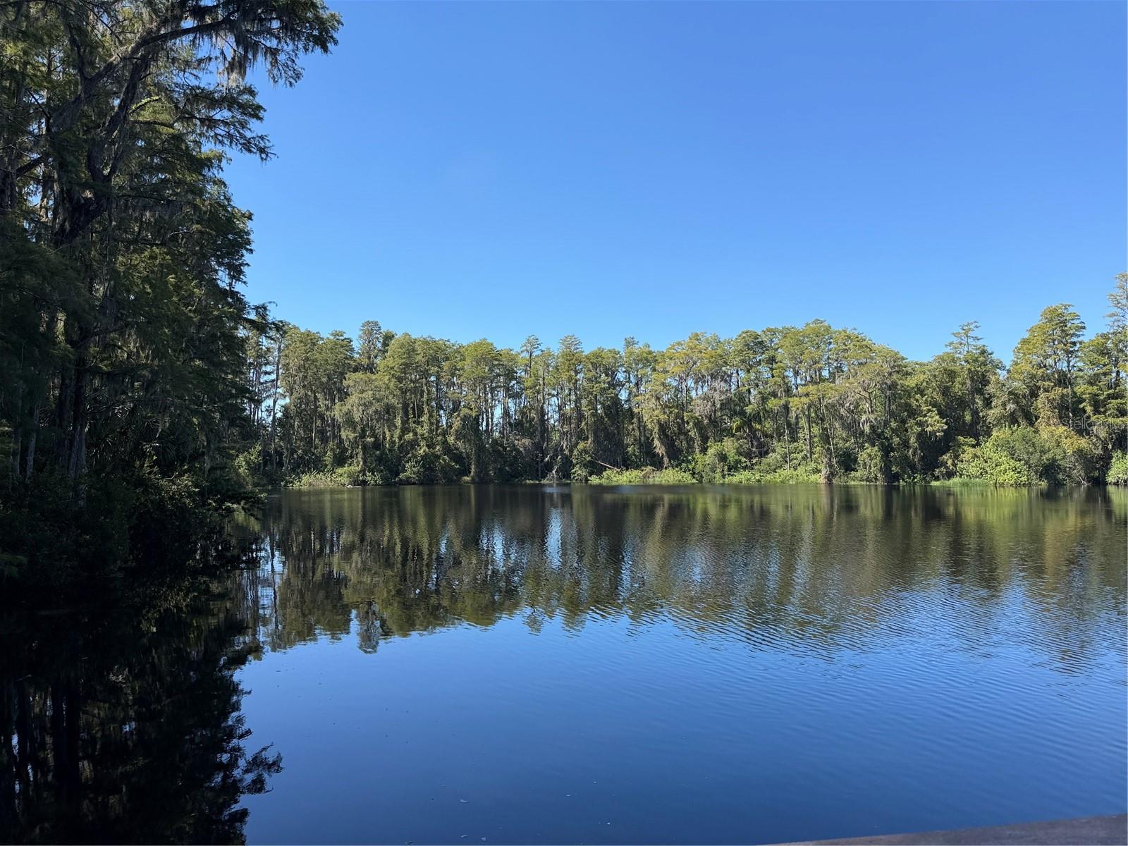 20893 HAULOVER COVE, #6, Lutz, FL 33558