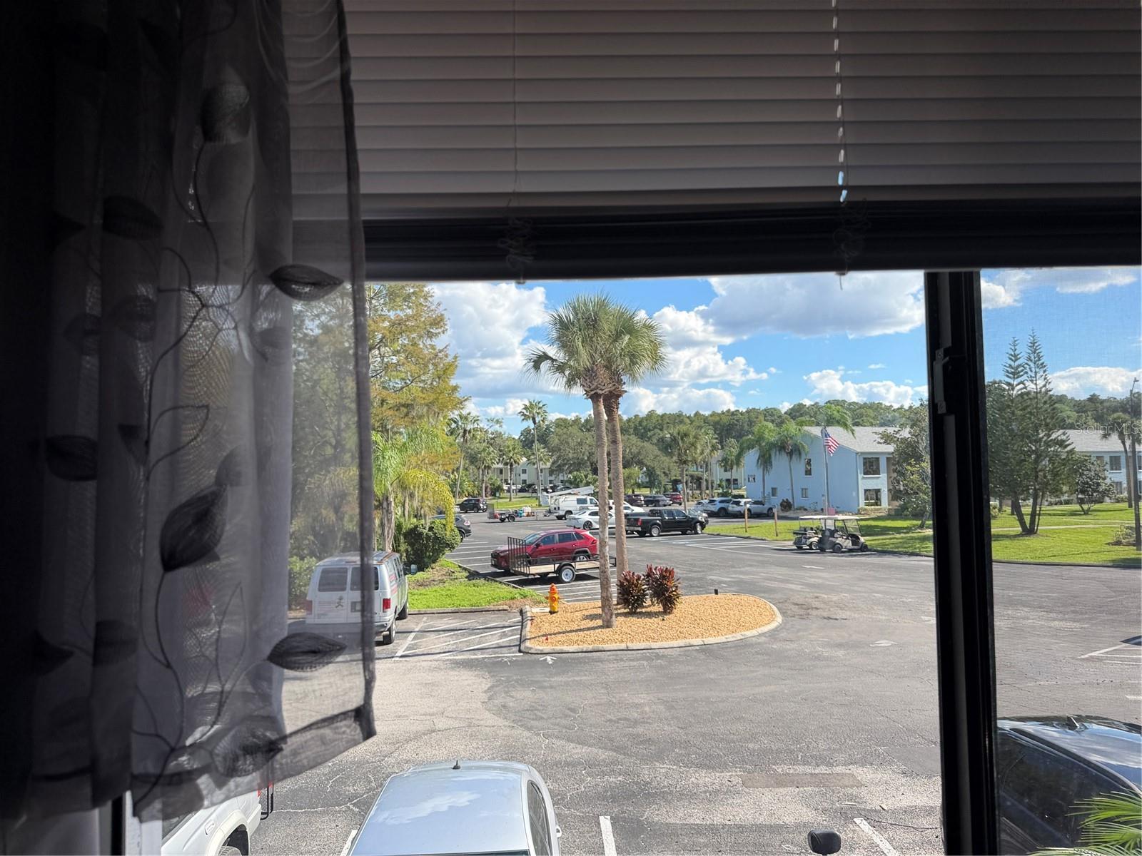 20893 HAULOVER COVE, #6, Lutz, FL 33558