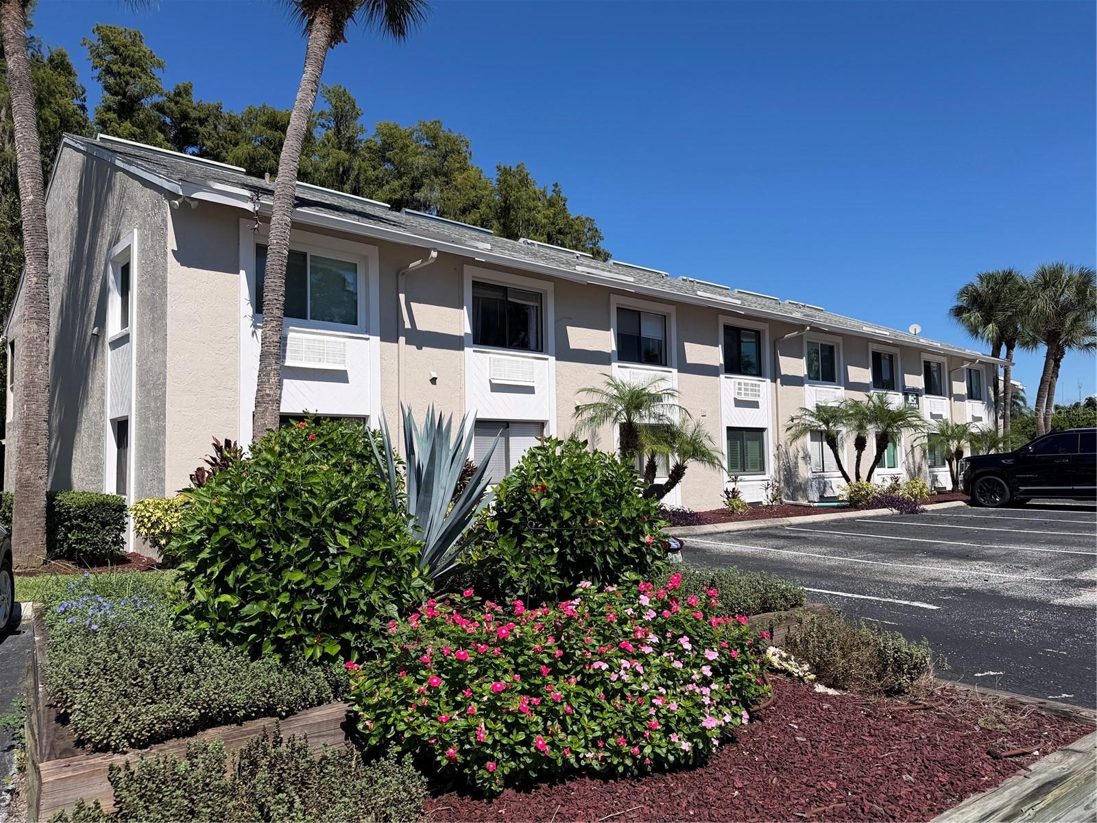 20893 HAULOVER COVE, #6, Lutz, FL 33558