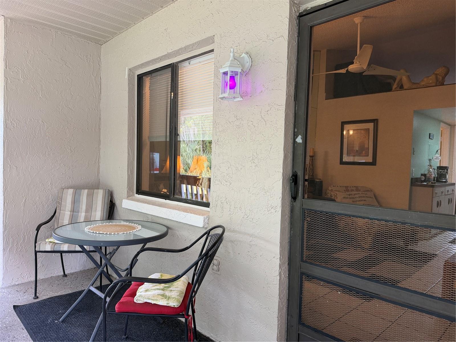 20893 HAULOVER COVE, #6, Lutz, FL 33558