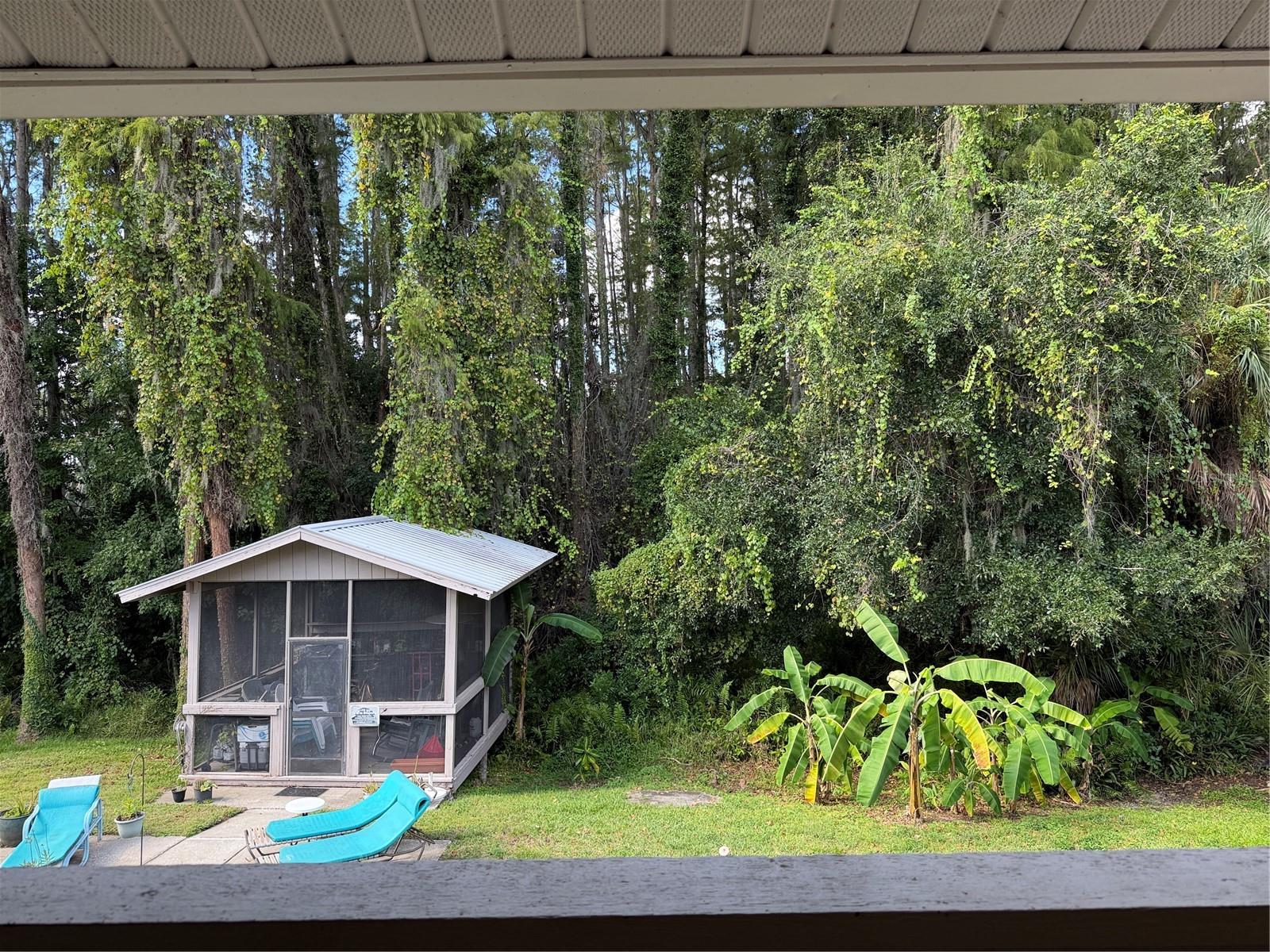 20893 HAULOVER COVE, #6, Lutz, FL 33558