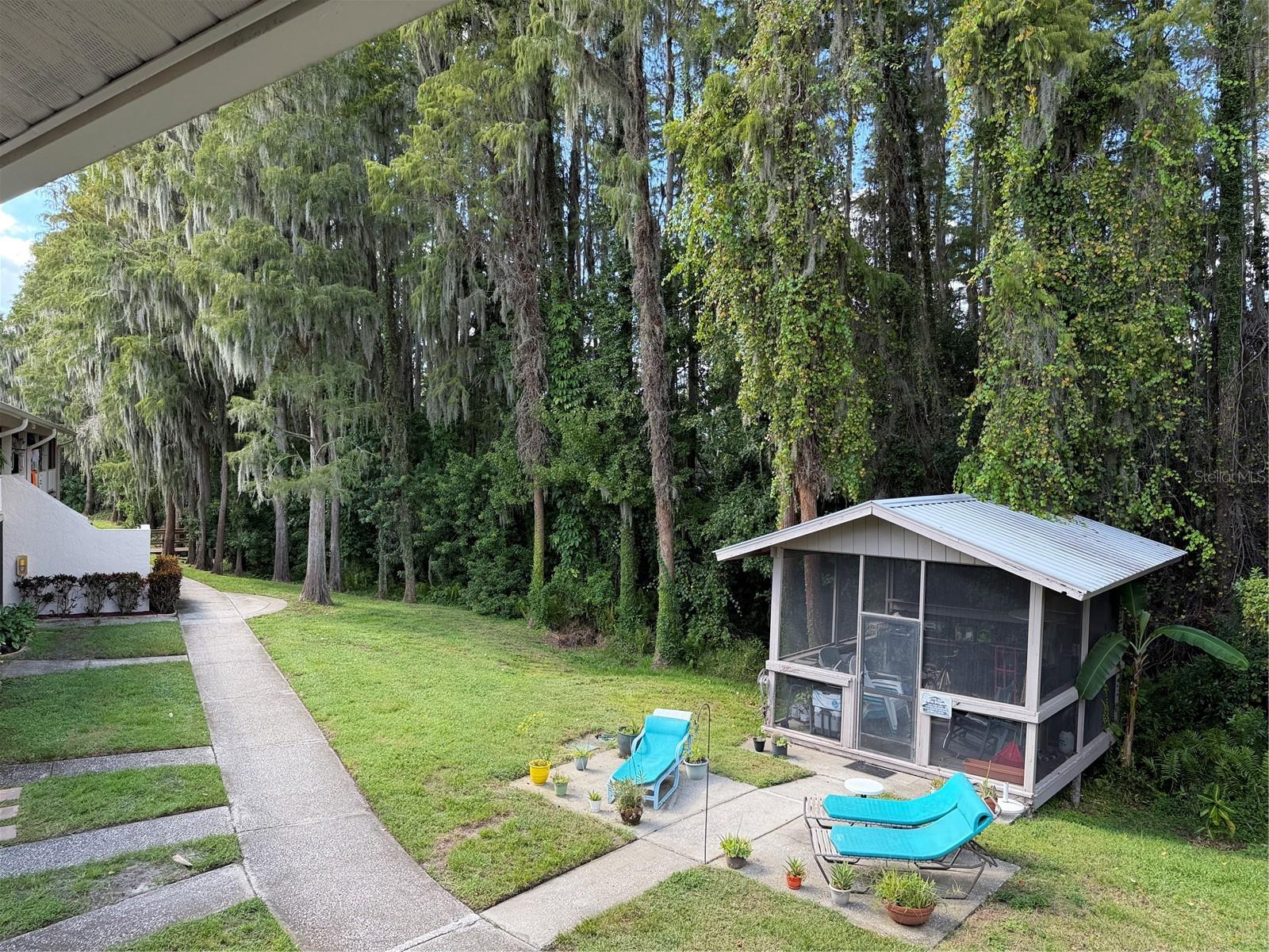 20893 HAULOVER COVE, #6, Lutz, FL 33558