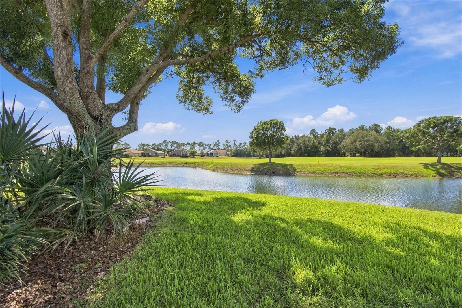 11812 ARANDA COURT, Hudson, FL 34667