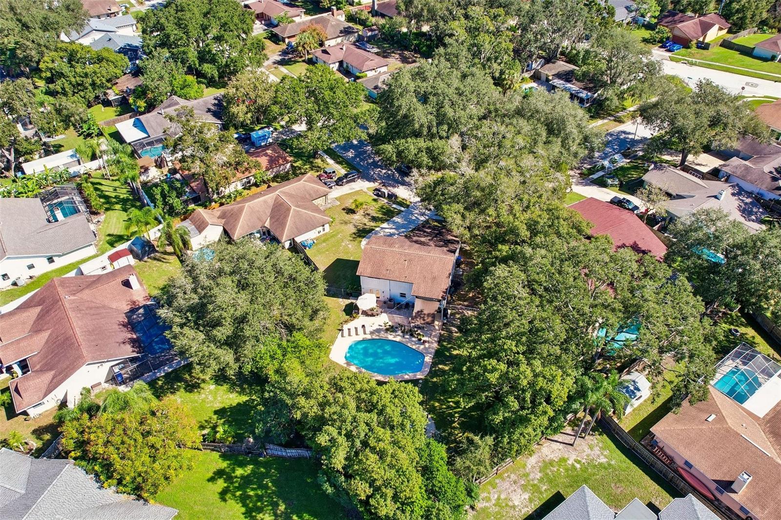 18410 STERLING SILVER CIRCLE, Lutz, FL 33549
