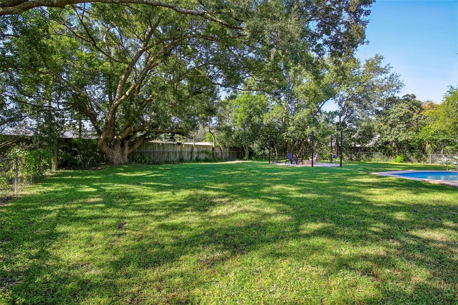 18410 STERLING SILVER CIRCLE, Lutz, FL 33549