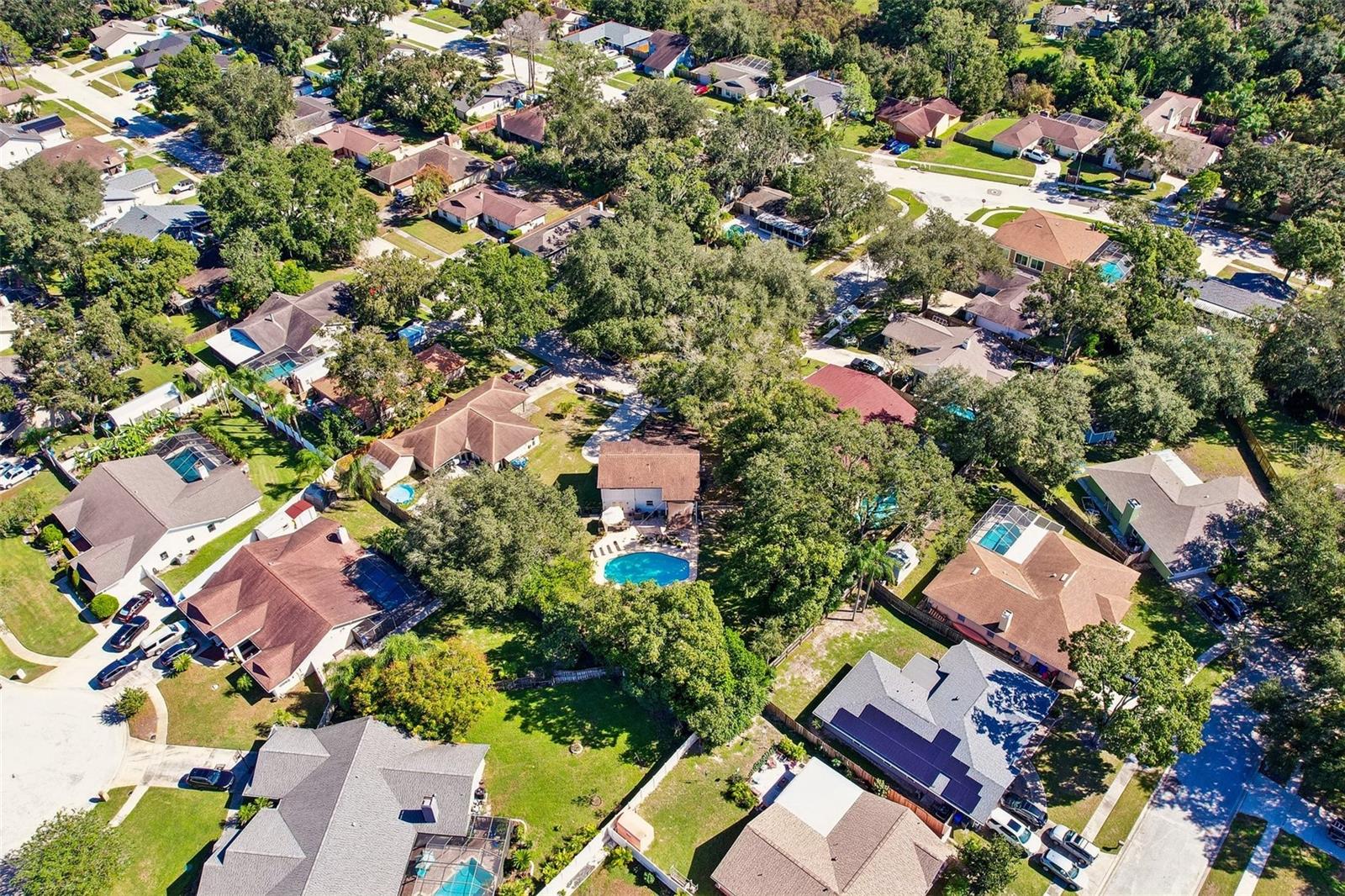 18410 STERLING SILVER CIRCLE, Lutz, FL 33549