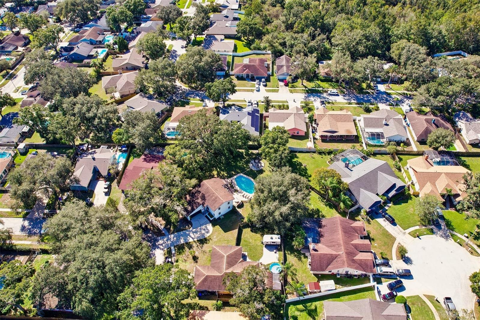 18410 STERLING SILVER CIRCLE, Lutz, FL 33549