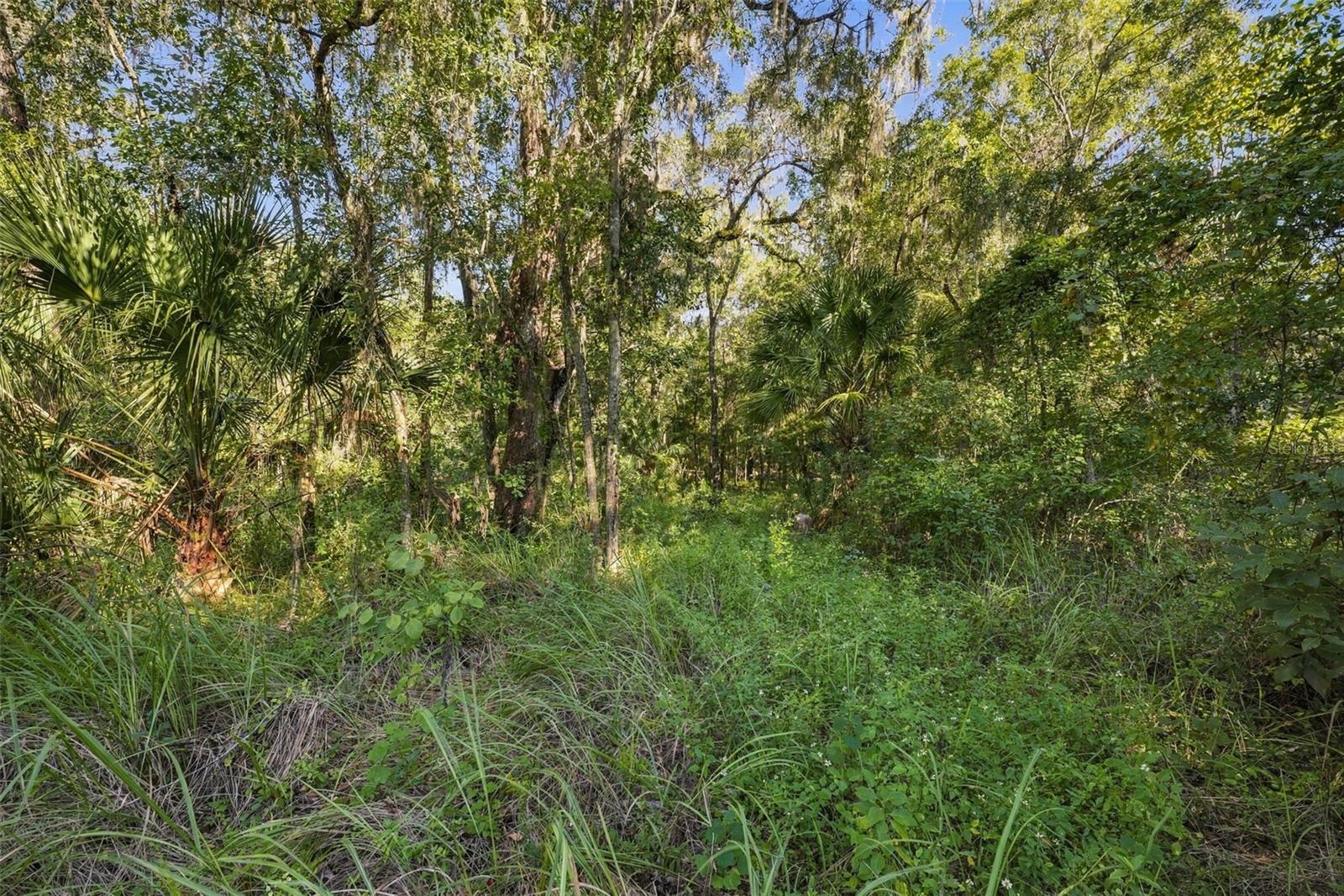 REGENCY COURT, Brooksville, FL 34614