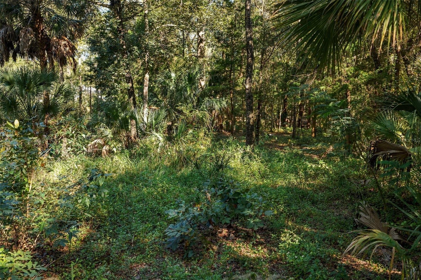 REGENCY COURT, Brooksville, FL 34614