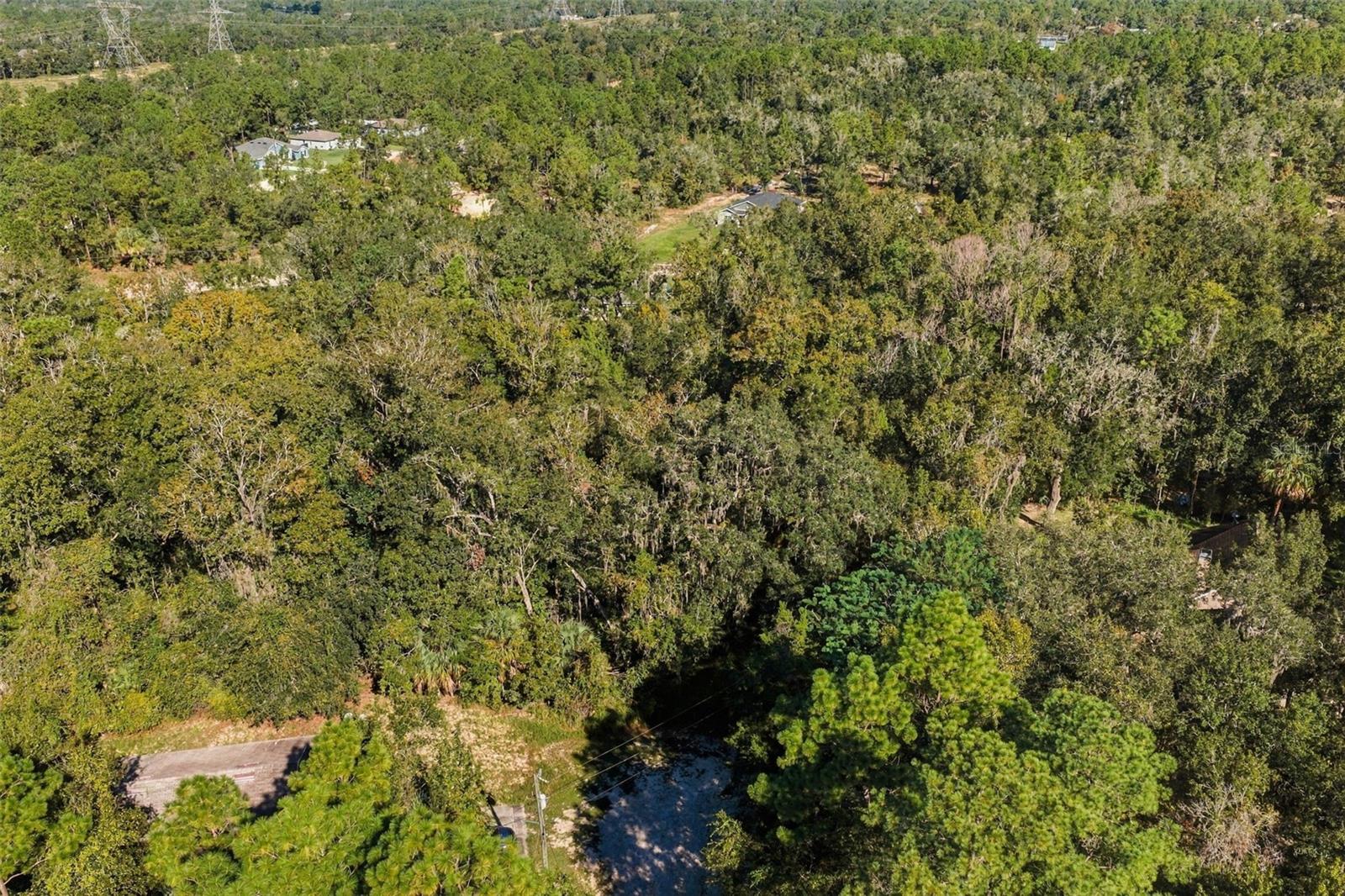 REGENCY COURT, Brooksville, FL 34614