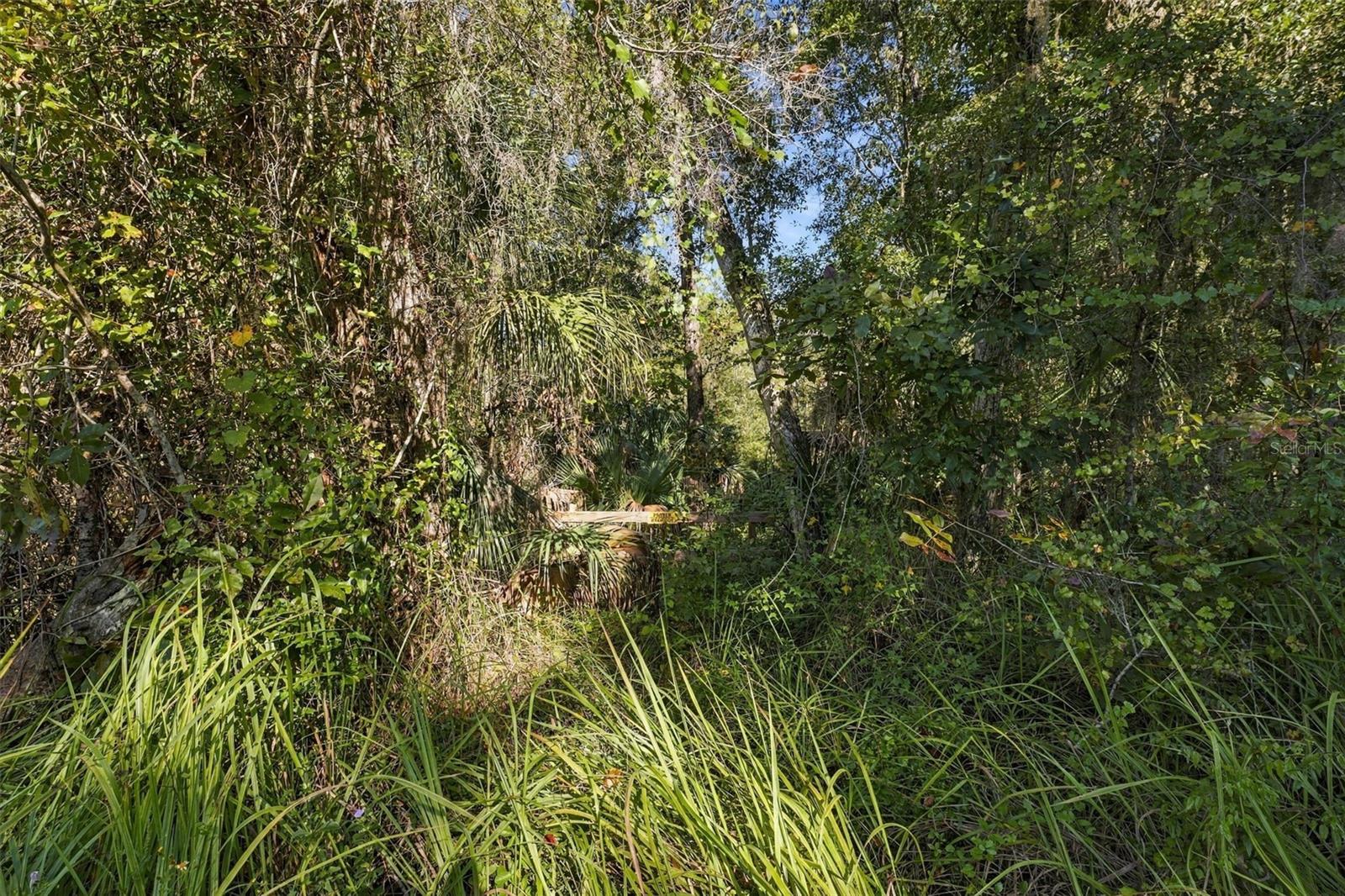 REGENCY COURT, Brooksville, FL 34614