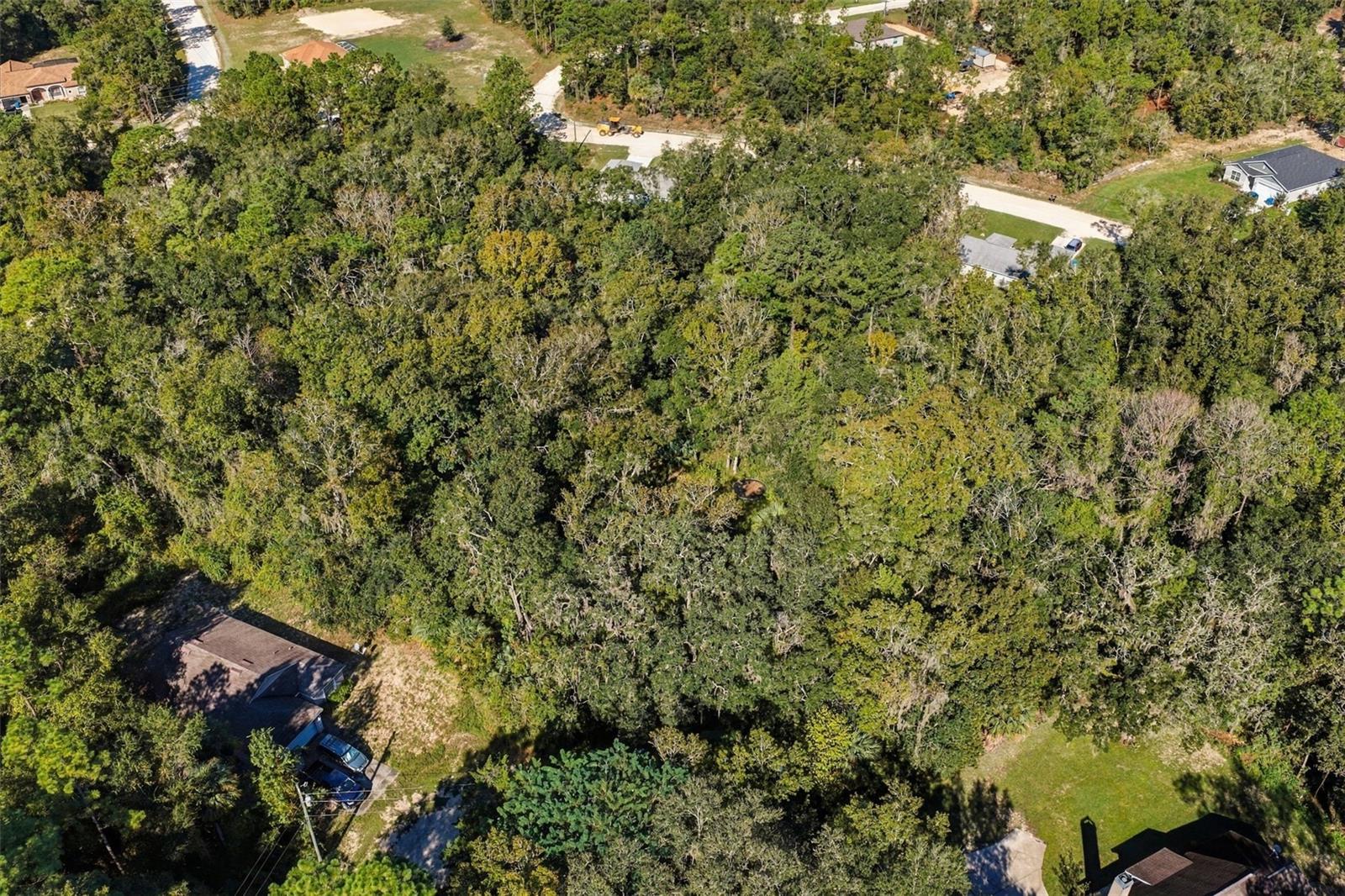 REGENCY COURT, Brooksville, FL 34614