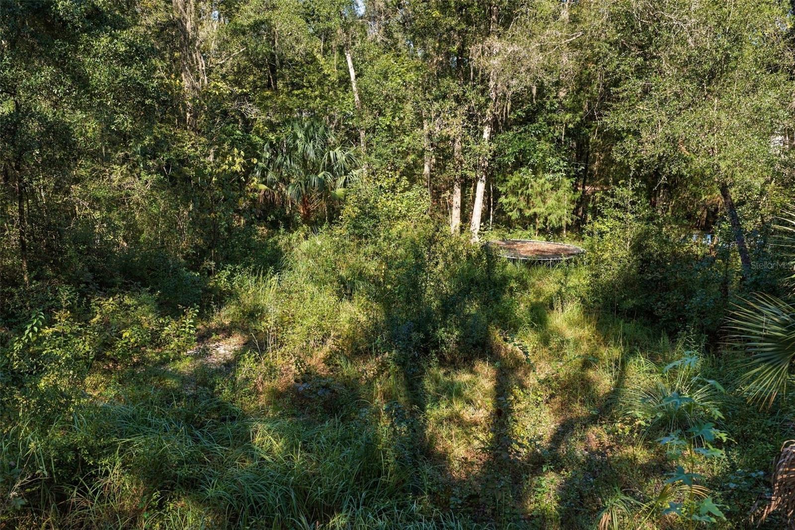 REGENCY COURT, Brooksville, FL 34614
