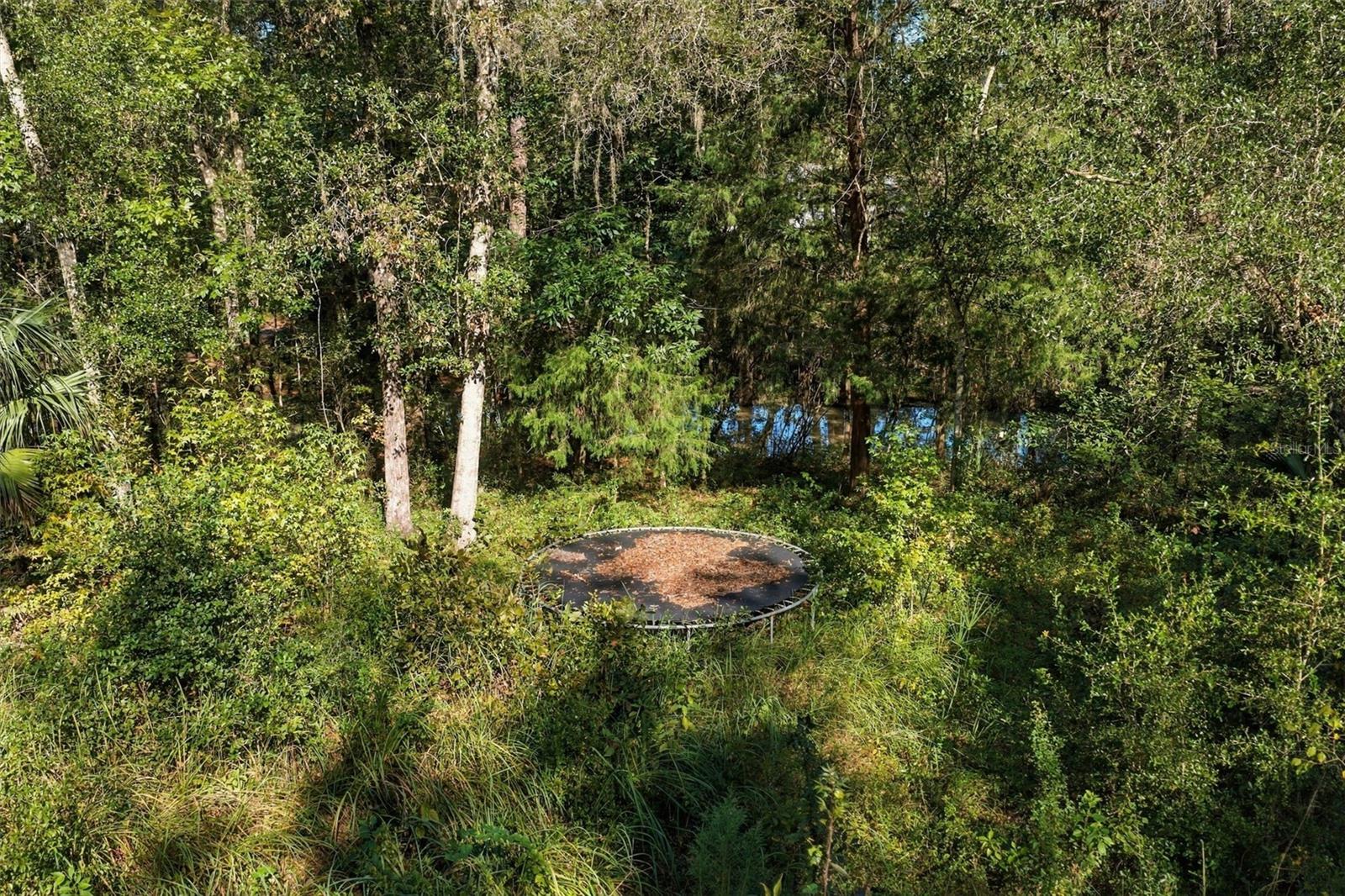 REGENCY COURT, Brooksville, FL 34614