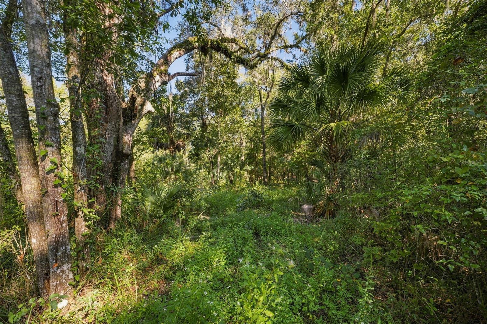 REGENCY COURT, Brooksville, FL 34614