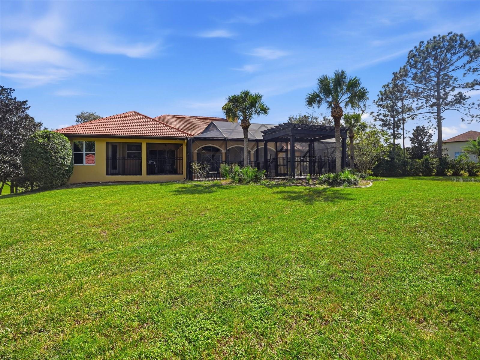 Large, gorgeous backyard!