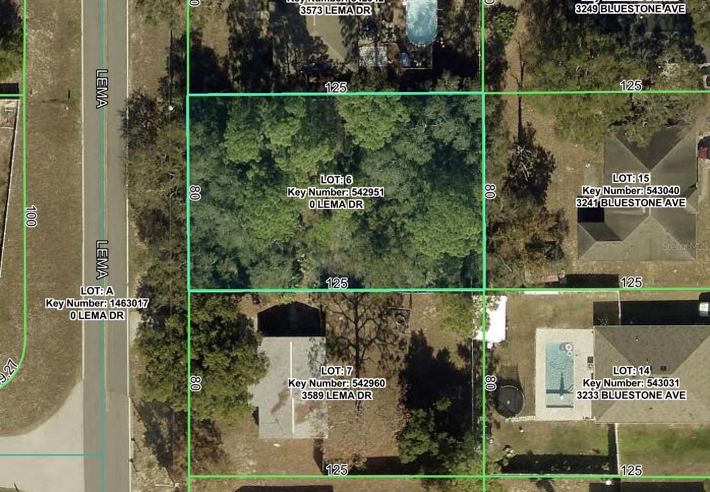 3581 LEMA DRIVE, Spring Hill, FL 34609