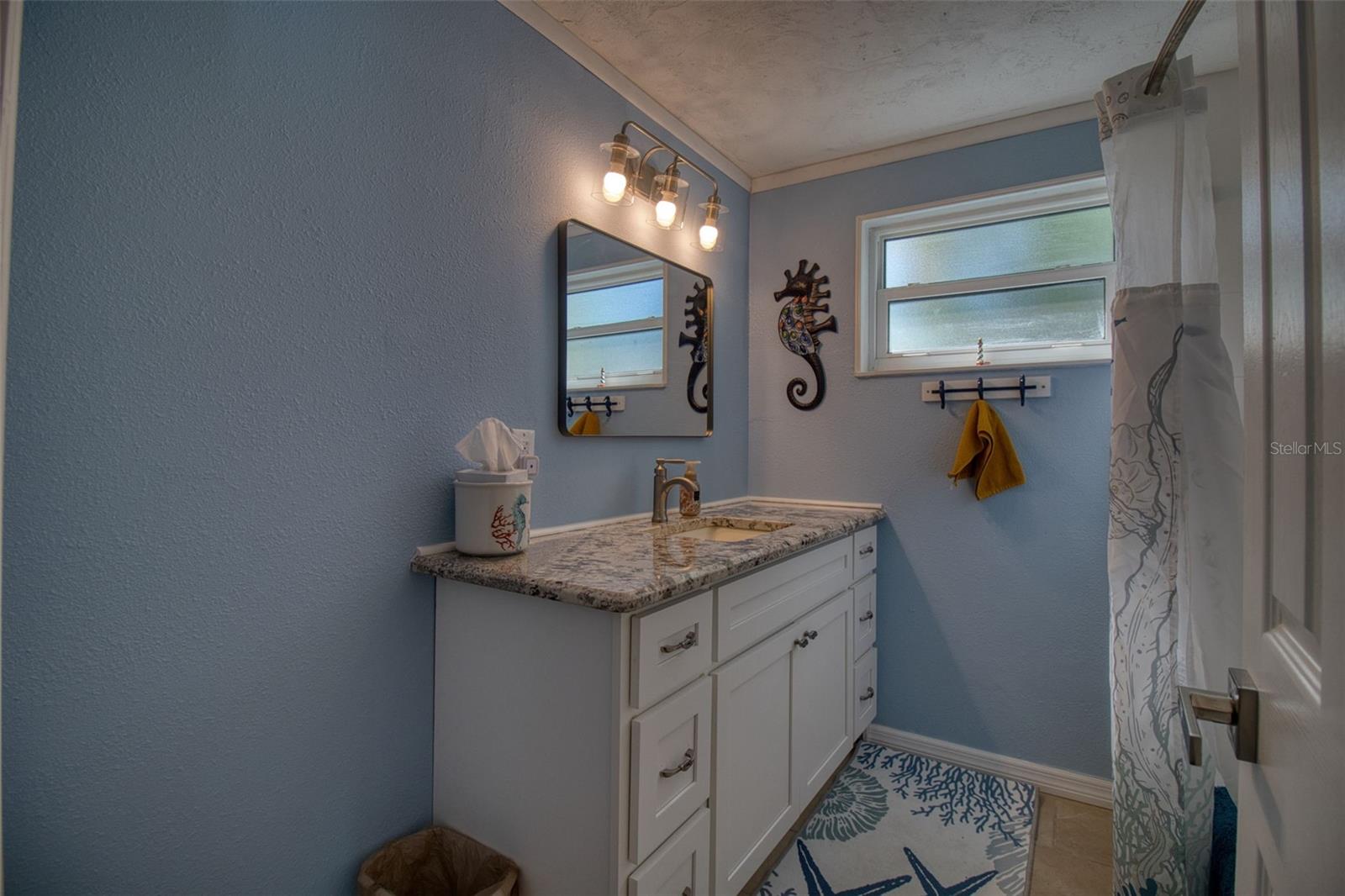 Hall bathroom