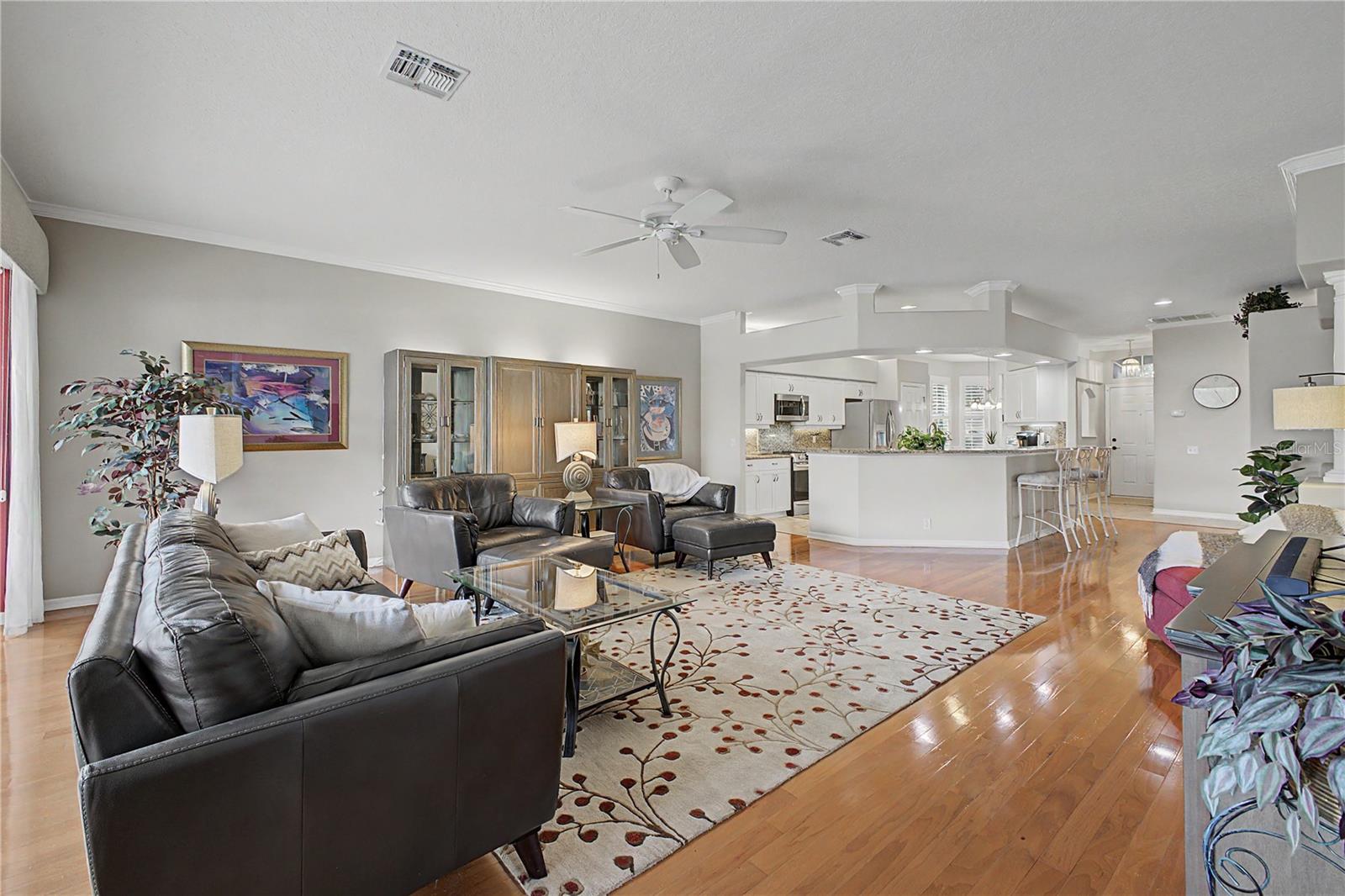 15017 TAMARIND LOOP, Spring Hill, FL 34609