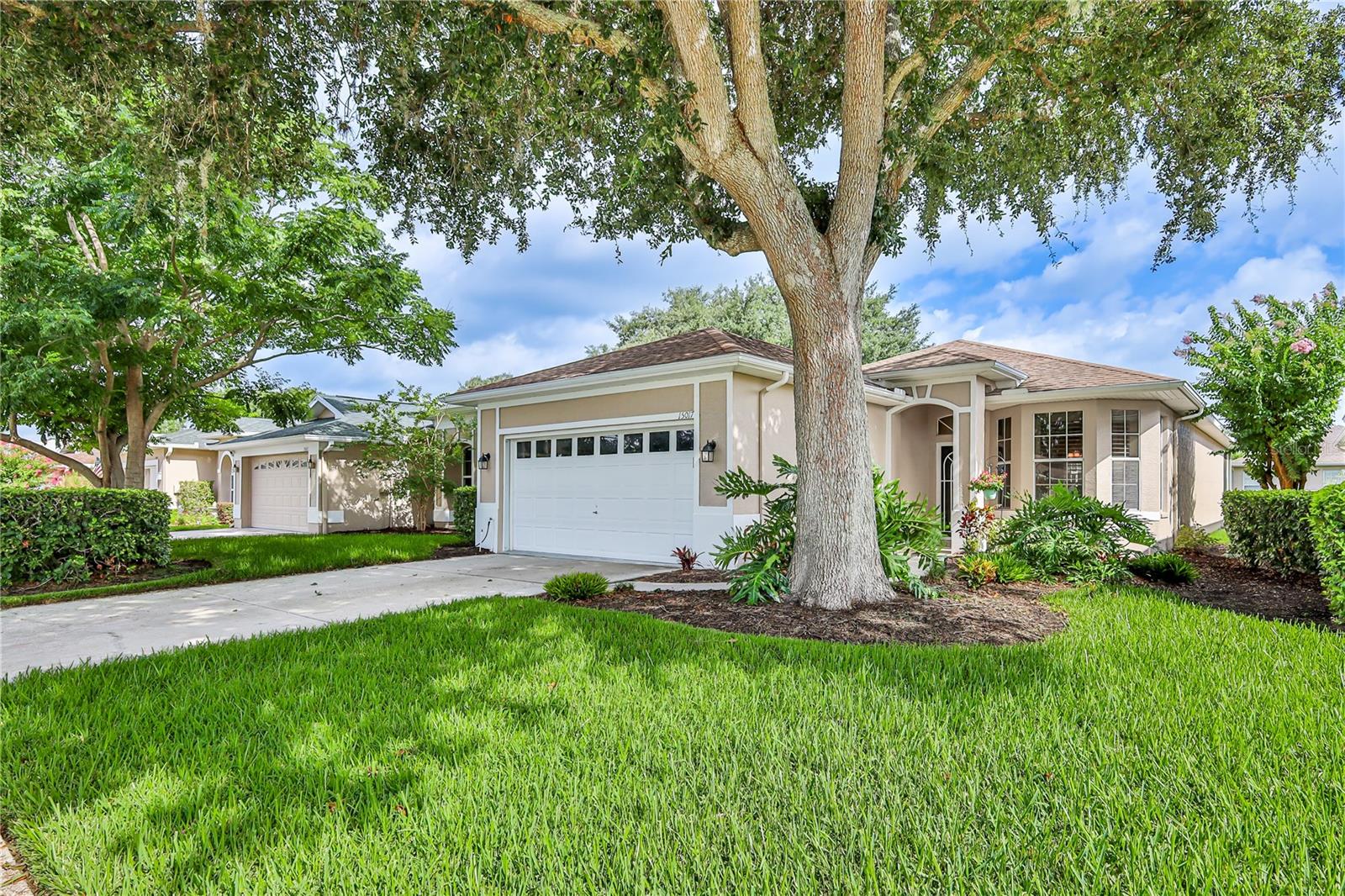 15017 TAMARIND LOOP, Spring Hill, FL 34609