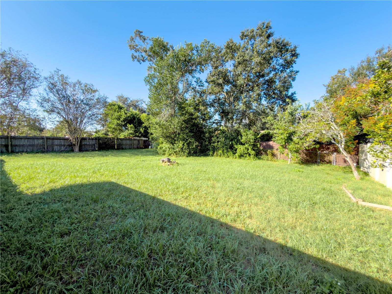 Backyard